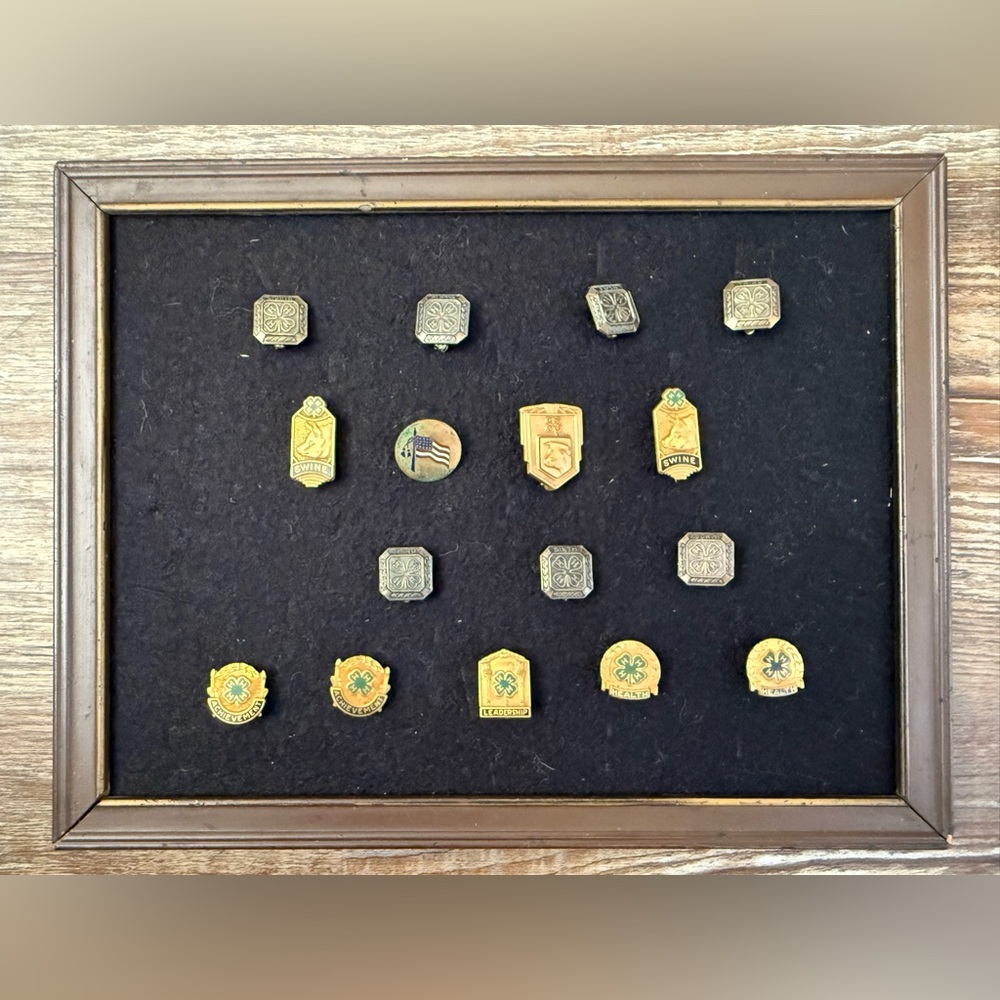 Gold and Silver Decorative 4-H Pin Display Wall Frame - Vintage Style